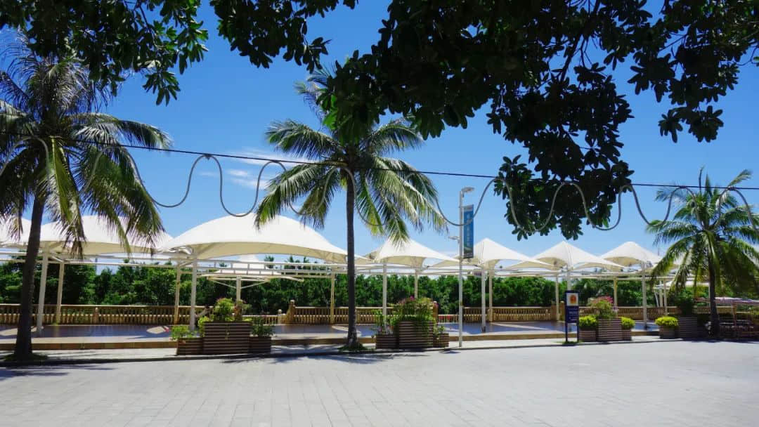 1654155938712461.jpg 640 (2).jpg