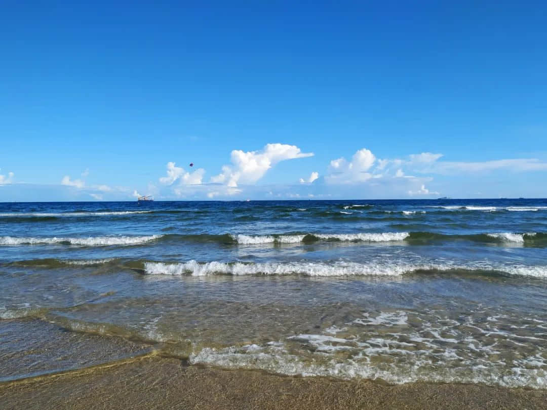 1654156106945826.jpg 640 (6).jpg