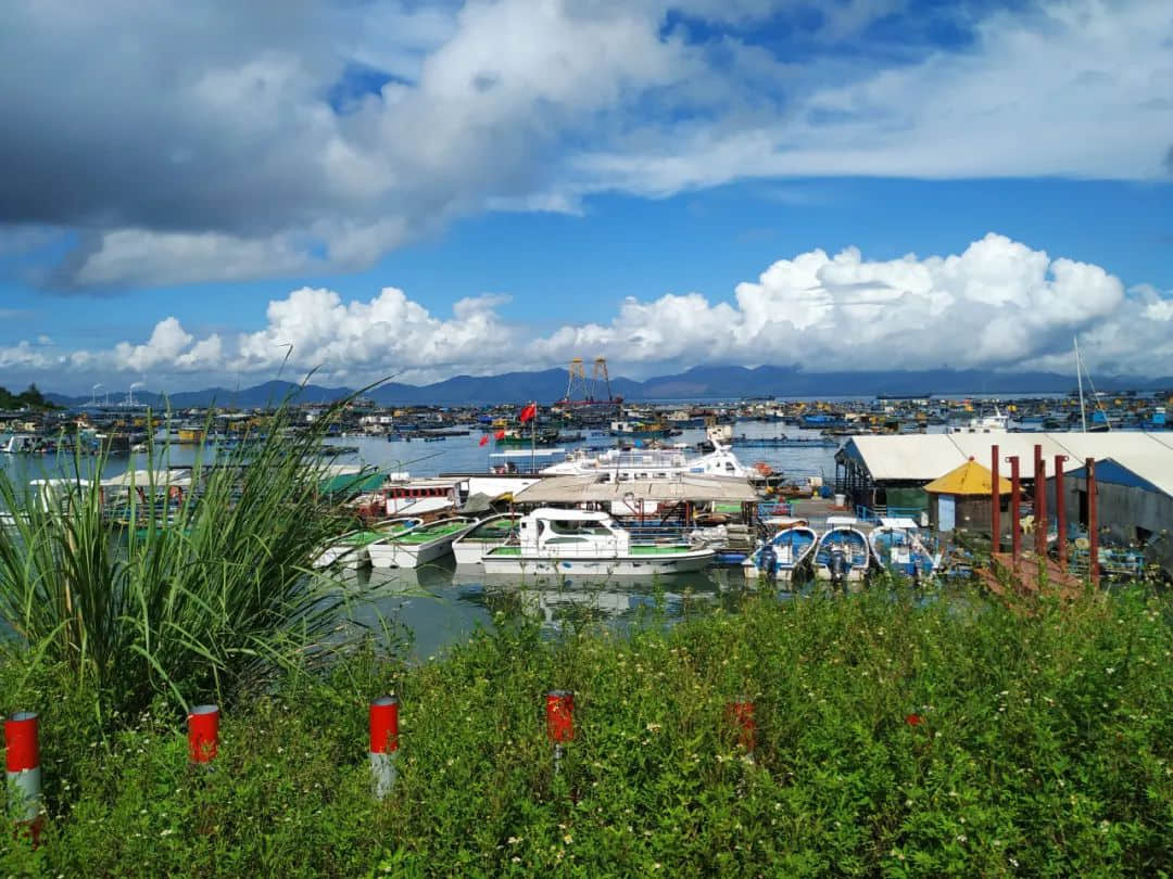 1654156390898798.jpg 640 (24).jpg