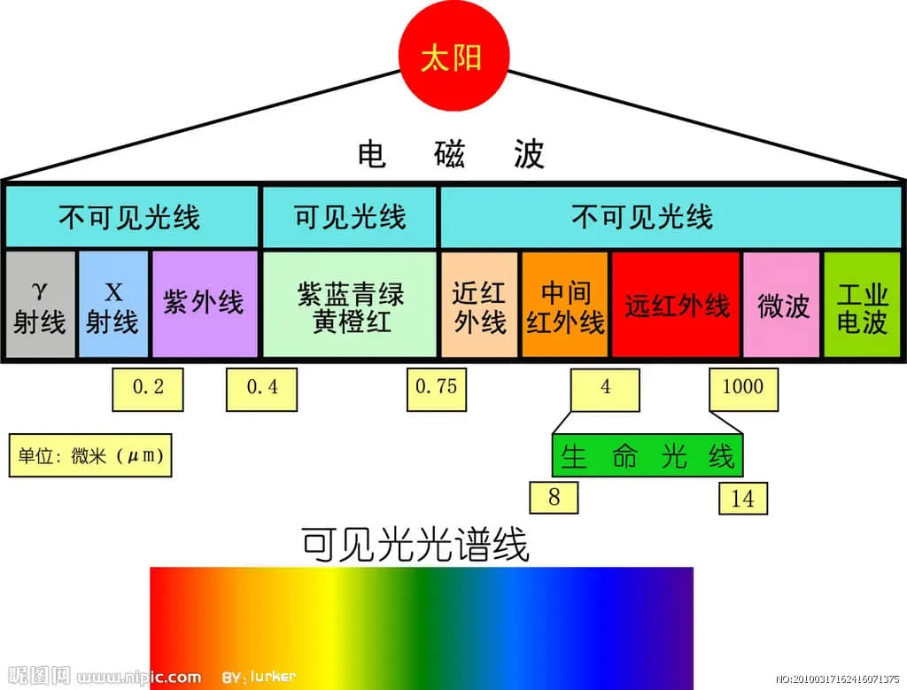 1658802316651542.jpg 可見光.webp.jpg