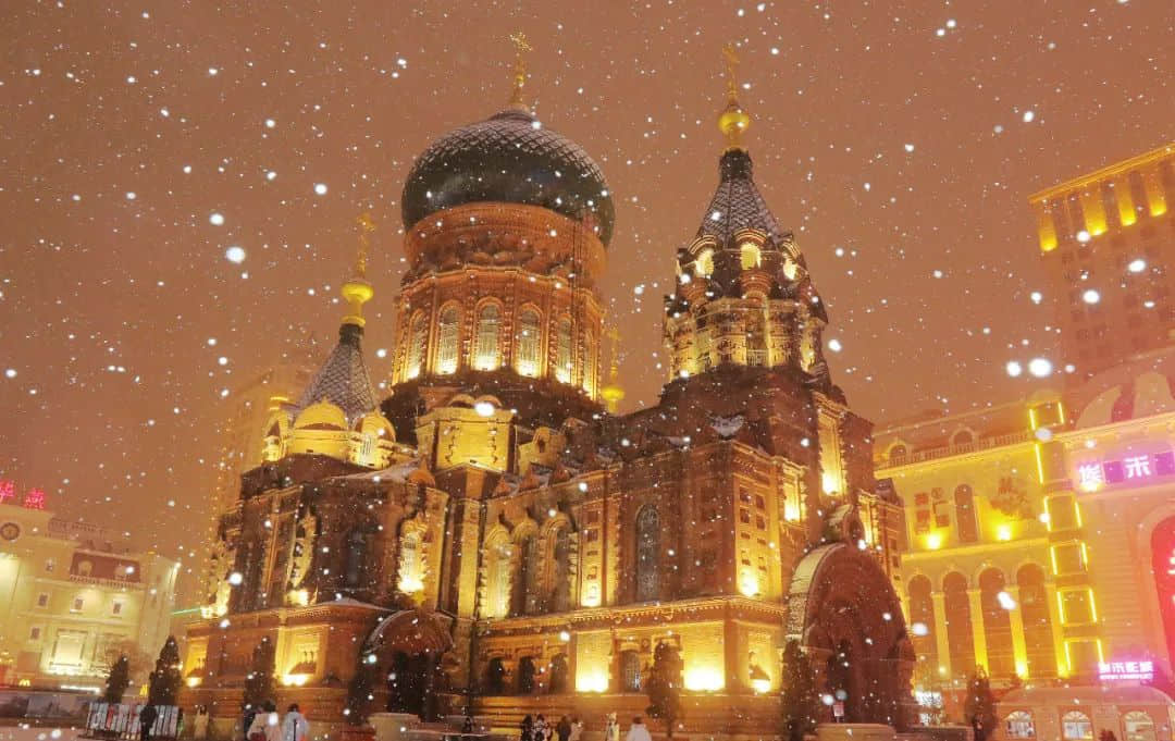 1721986129873815.jpg 640 (2).jpg